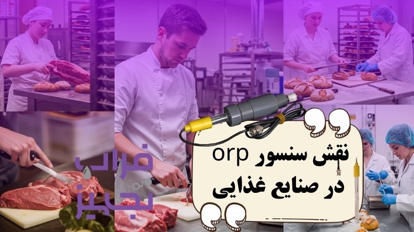 سنسور ORP در صنایع غذایی